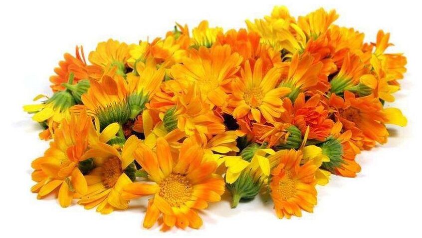 Calendula extract in ZXCVNMQWERT